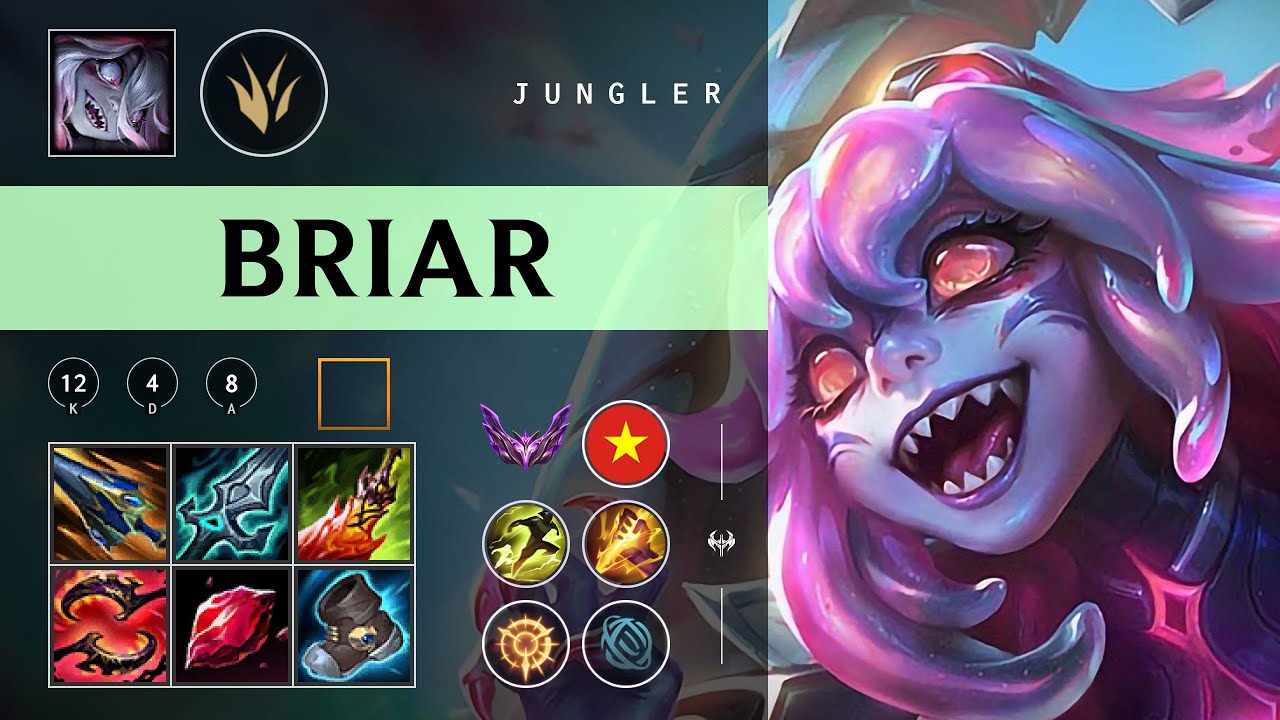 Briar Jungle vs Jarvan IV - VN Master Patch 26.02