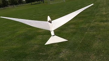 Ornithopter Servo Conversion: Crossbow 2 RC bird flies with servos instead of conventional gearbox