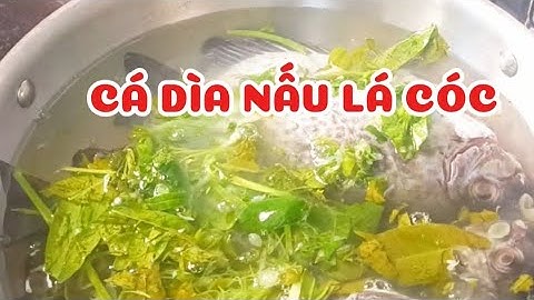 Cá dìa nấu lá cóc #food #cooking #ngocdanang #nauan #nauan #nauan