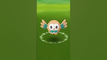 Guys i get rowlet with nice iv 🎉 wait for iv #pokemongo #shorts