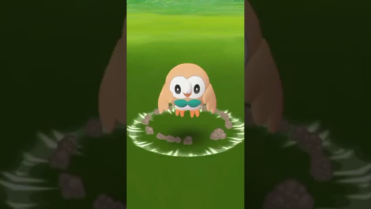 Guys i get rowlet with nice iv 🎉 wait for iv 