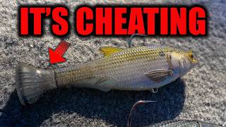 The PROS call this Hush Hush Technique Worming a Swimbait