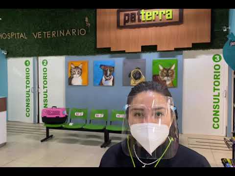 Conoce el Hospital