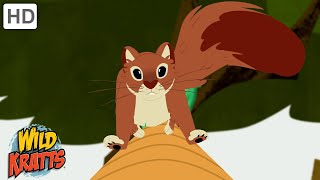 The Importance of Tails | How Climbers and Runners Stay Balanced | Wild Kratts