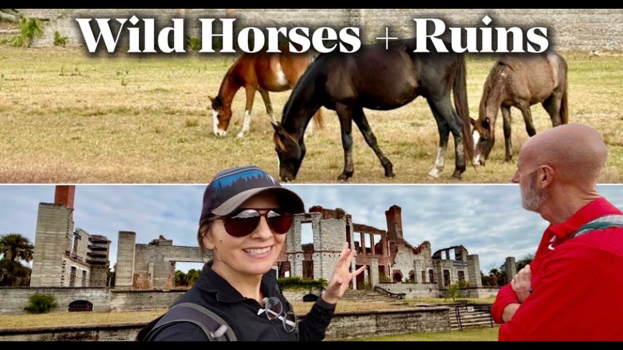 Дикие лошади и руины на острове Камберленд, штат Джорджия.