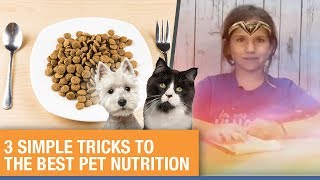 3 Simple Tricks to the Best Healthy Pet Nutrition by Paleo Pets 1,095 views 5 years ago 19 minutes