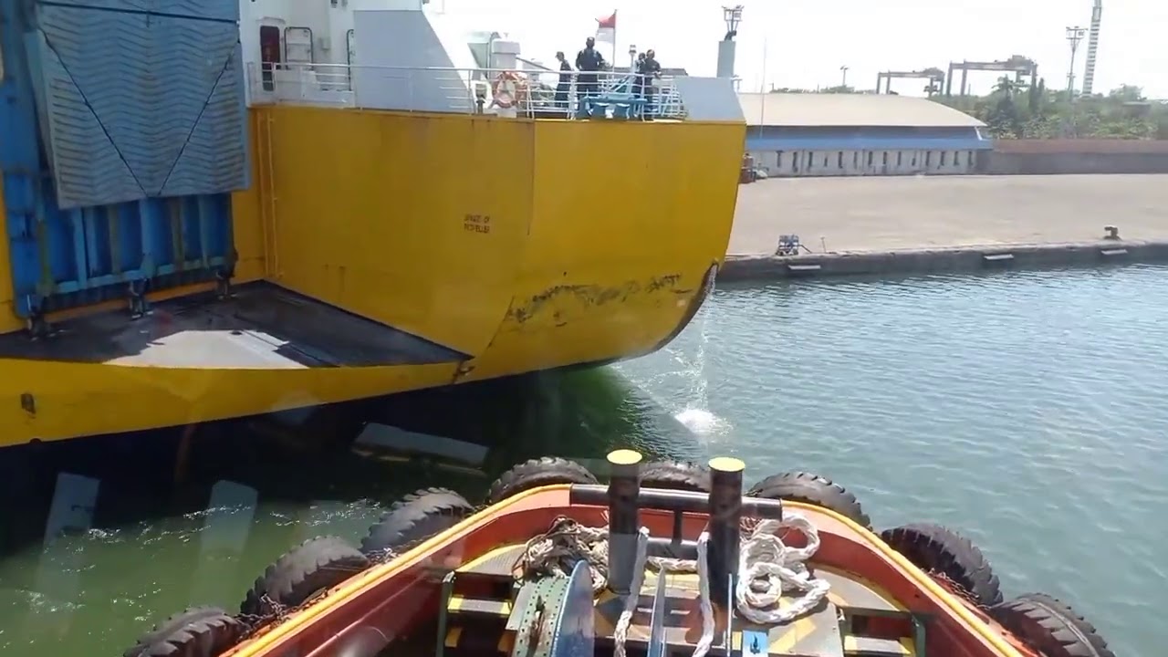 Dharma Rucitra 9 | si lumba-lumba ganteng berlayar dr Semarang