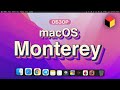 macOS Monterey – ПОДРОБНЕЙШИЙ ОБЗОР со всеми фишками и скрытыми деталями!