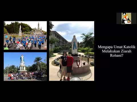 Video: Perjalanan Kerusi Berjalan: Di Jalan - Rangkaian Matador