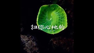 201406 扫你心地的31397