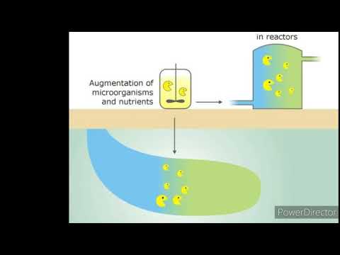 Bioremediation (types, advantages and disadvantages)