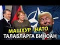 ЭНГ КУЧЛИ ТАШКИЛОТ - НАТО ва УЗБЕКИСТОН