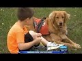 School And Family Argue Over Service Dog