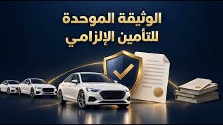 Unified Compulsory Vehicle Insurance Document | Article Seven