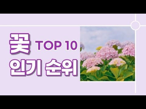 한국인이 좋아하는 꽃 ( 꽃 인기순위 TOP 10 )