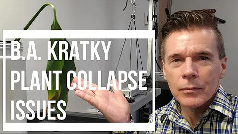 B.A. Kratky Plant Collapse Issues