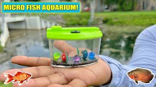 MICRO AQUARIUM: Catching Wild Pet Fish with a Net!!! screenshot 2
