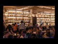 10 minutes of People Talking in Restaurant Sound Effect | Restaurant Food court Ambiance | Soundbuzz