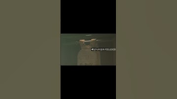 Just your average Cod Lobby! #shorts #funny #callofduty #warzone#almazrah#rebirthisland