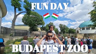 Fun Day at Budapest Zoo
