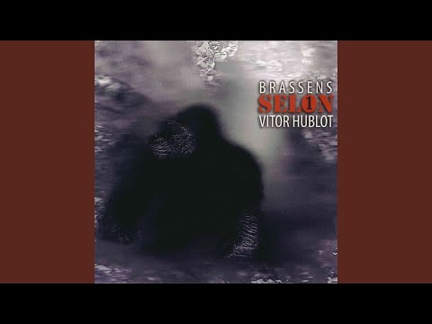 Marinette (feat. Thierry Mondelaers)