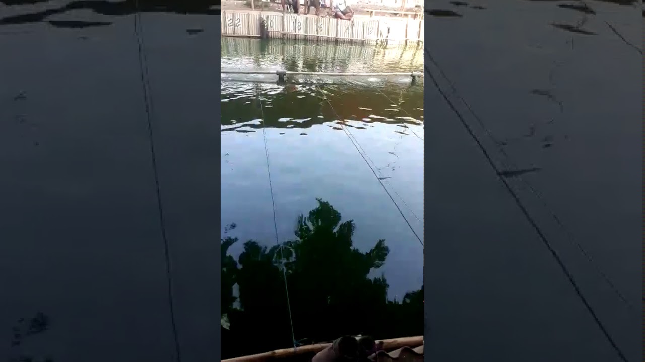 Mancing Fly oper part 2
