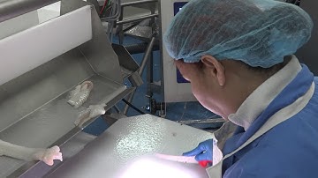 Case study: Advanced Flowline at Sjófiskur