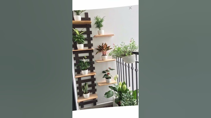 DECORAÇÃO COM PLANTAS NA VARANDA DO APÊ #apartamento #plantasdentrodecasa #plantas #shorts #decor