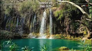 Euphoricast - #95 (June 2025) [HQ Mix]