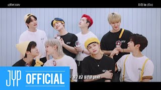 Stray Kids '미친 놈 (Ex)' (Feat. STAY) Guide Video