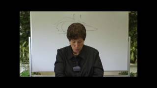 Celebrity Biology Module 16 Study Guide Wealth