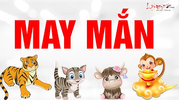 4 Con Giáp May Mắn Nhất Công Danh Tài Lộc Không Ai Sánh Bằng Trong Tháng 12 Này - Tử Vi 12 Con Giáp