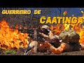 GUERREIRO DE CAATINGA - CANÇÕES DE TFM