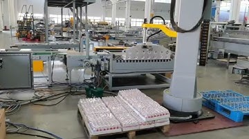 Automatic economic Column palletizer for heat shrink wrap bottles/bags #palletizing #palletizer
