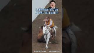 Decoy Illinois  - A Parody