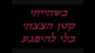 David Lavi - Sheni Hadarim   דוד לביא - שני חדרים