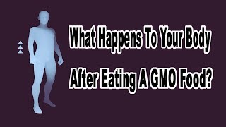 What Happens To Your Body After Eating A GMO Food? Questions And Answers