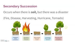 2.7 Ecological Succession
