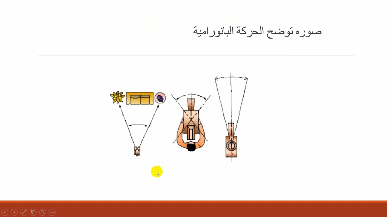 السكشن الثالث