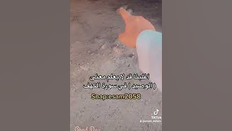 اغلبنا قد لا يعلم معنى ( الوصيد ) في سورة الكهف 😱