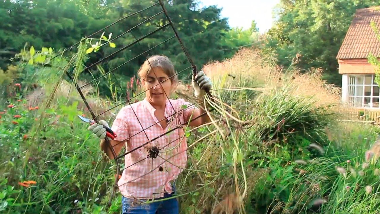 Taller de Canteros [4/6] - Verano en el Cantero