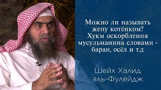 Можно ли называть жену котёнком? Хукм оскорбления мусульман словами - баран, осёл и т.д