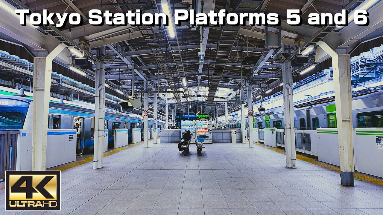 【東京駅】Tokyo Station Platforms 5 and 6 Soundscape