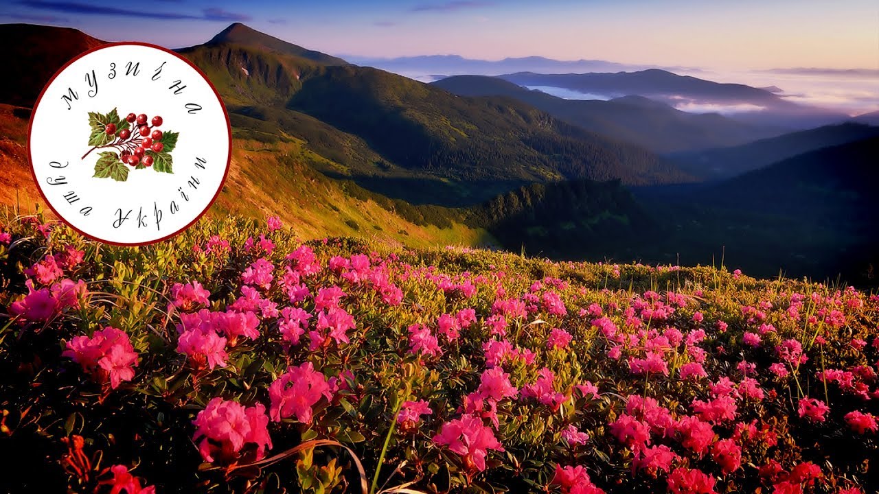 Червона рута [Українська музика] [Українські пісні] - YouTube