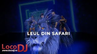 LocoDJ & Deejay Killer feat Rodica Olariu - Leul din Safari (official)