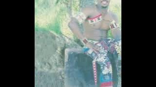 Mgqashiyo Ndlovu - Zibulale