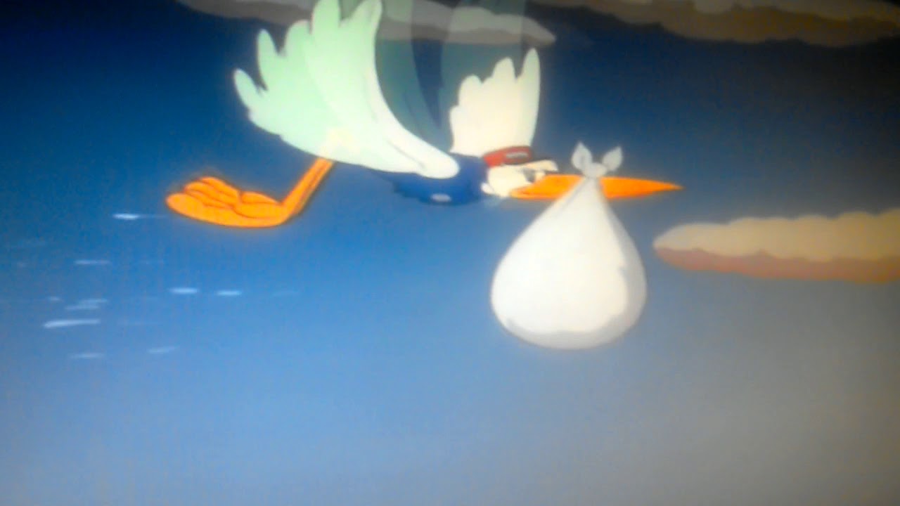 dumbo stork delivery mrs