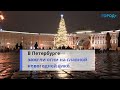 «Волшебство из сказки»: петербуржцы оценили елку на Дворцовой площади