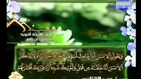 الجزء السادس عشر (16) من القرآن الكريم بصوت الشيخ عمر القزابري