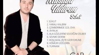 Mustafa Yıldırım - Turnam (2015)